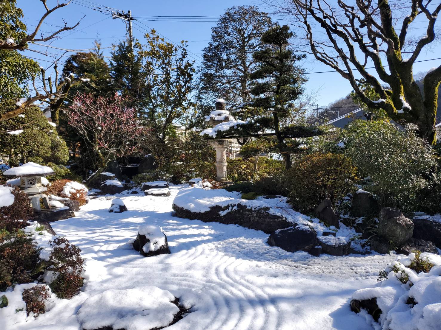 雪吊りのある雪景色『高尾駒木野庭園』