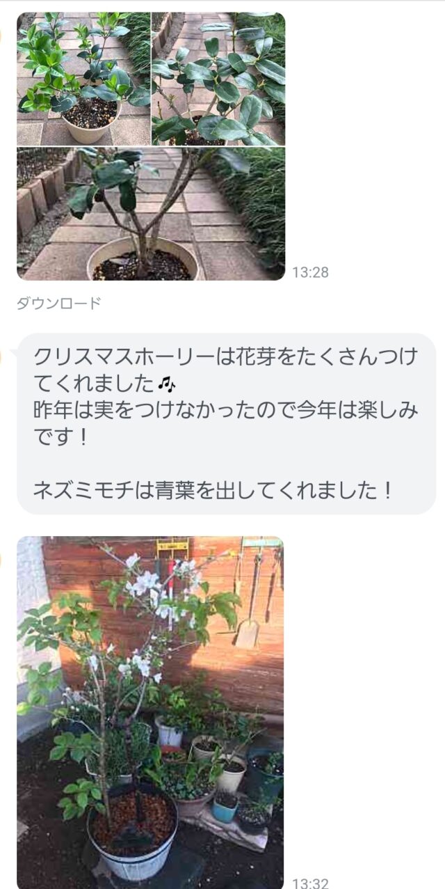 里親さまからのお便りを！！