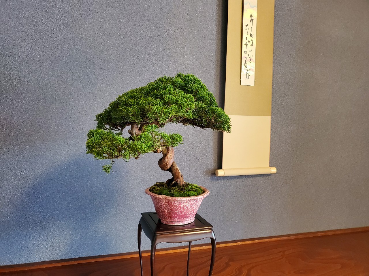 山野草 絵の展覧会【高尾駒木野庭園】