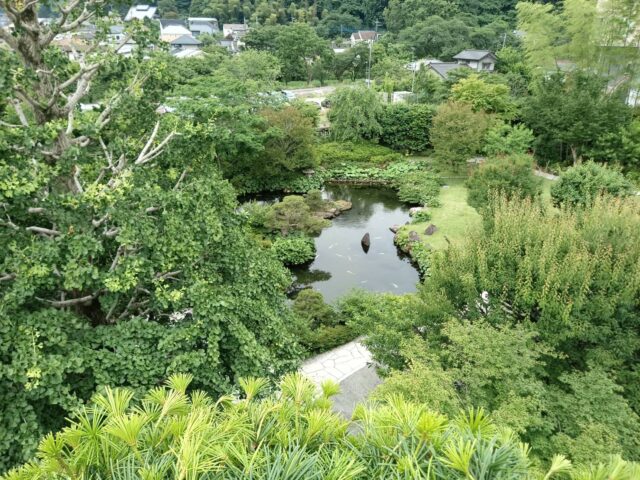 庭師の特権！？ 子どもに見せてあげたい景色