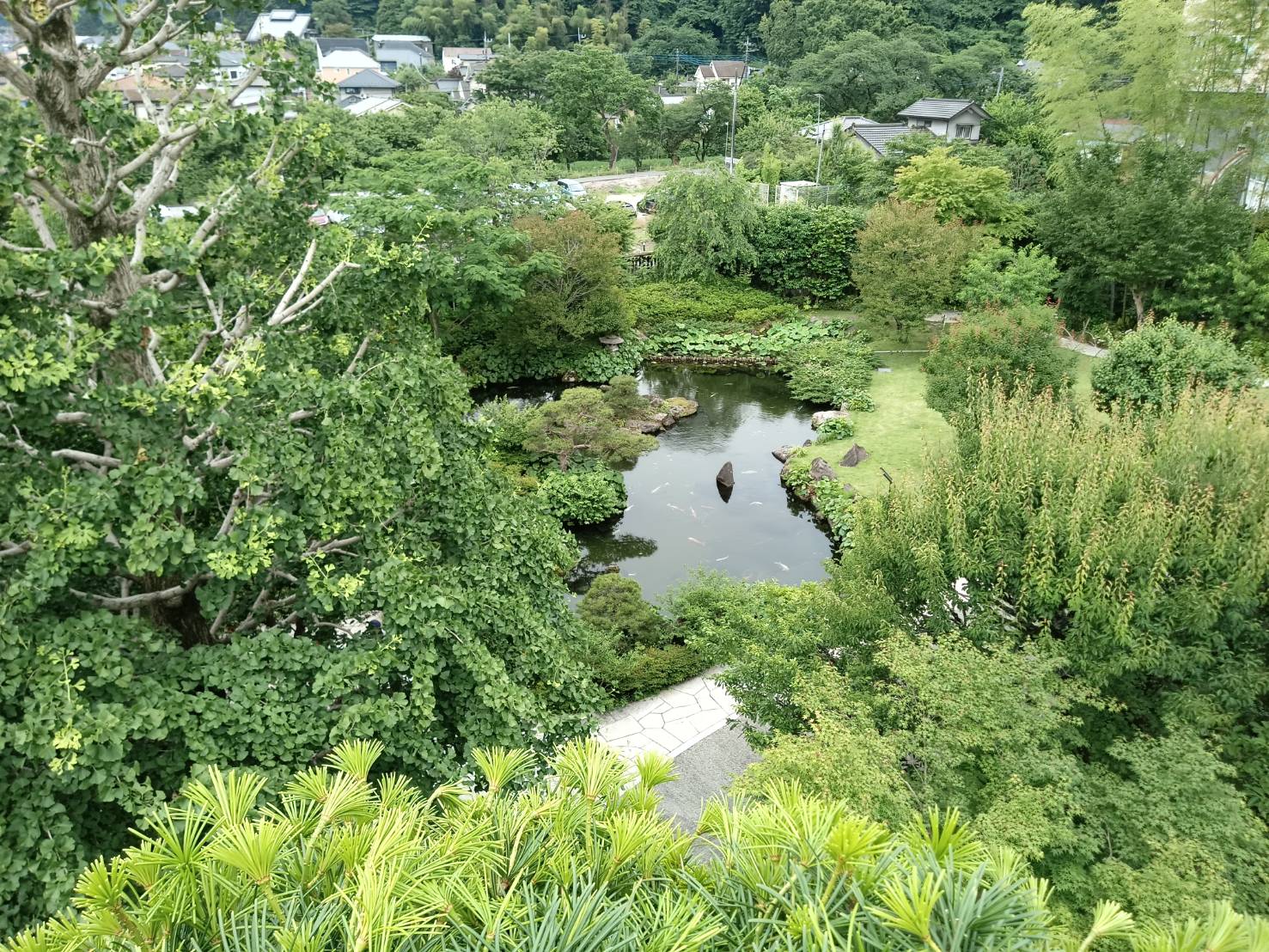 植木の剪定作業中、高所からの眺め。この景色を観れるのは植木職人の特権!? 株式会社やましたグリーン