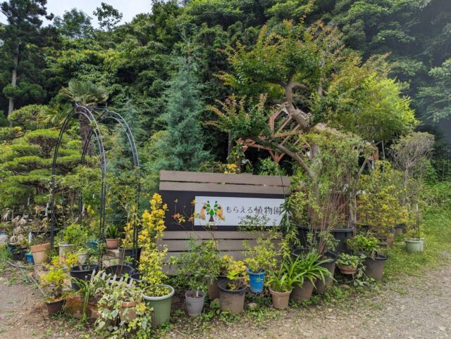 『もらえる植物園』リニューアル