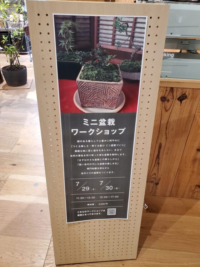『ミニ盆栽づくり』ワークショップも開催・無印良品銀座