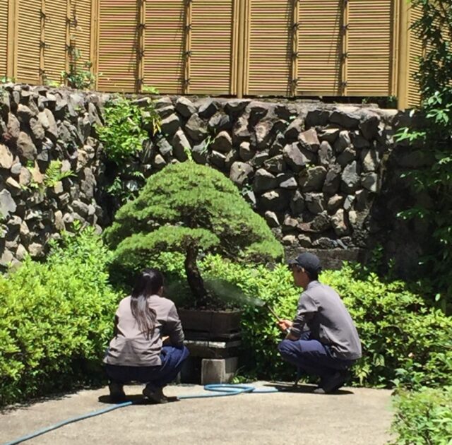 目に見えない努力と愛情を大切に