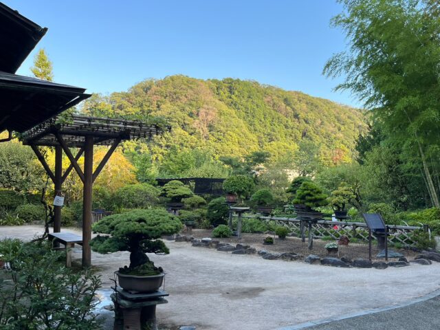 八王子の隠れた宝、高尾駒木野庭園への夏の誘い?☀️