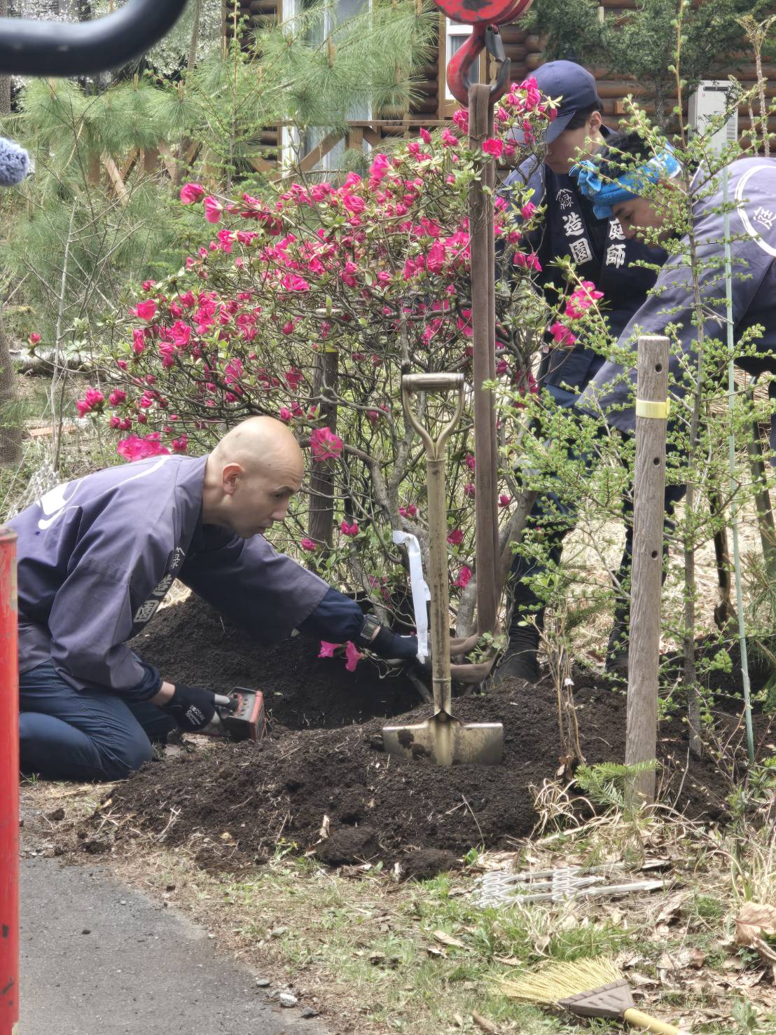 ドクタービレッジに植木の里親の樹木で植栽。やましたグリーンの植木の里親を活用していただいた事例です。