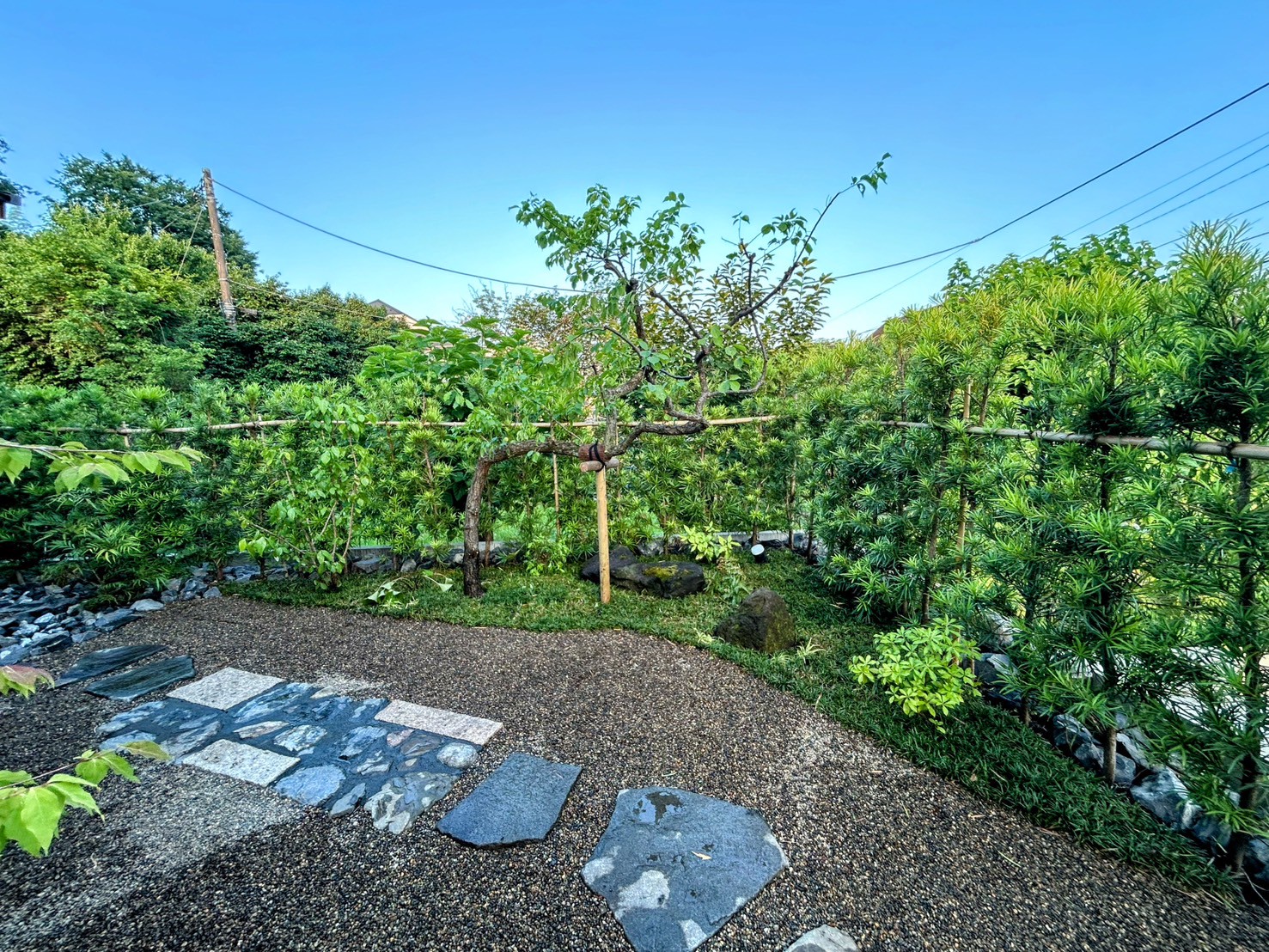 八王子市W様 植木の里親を活用でリフォーム。植木の里親を活用していただきました。株式会社やましたグリーンの事例です。