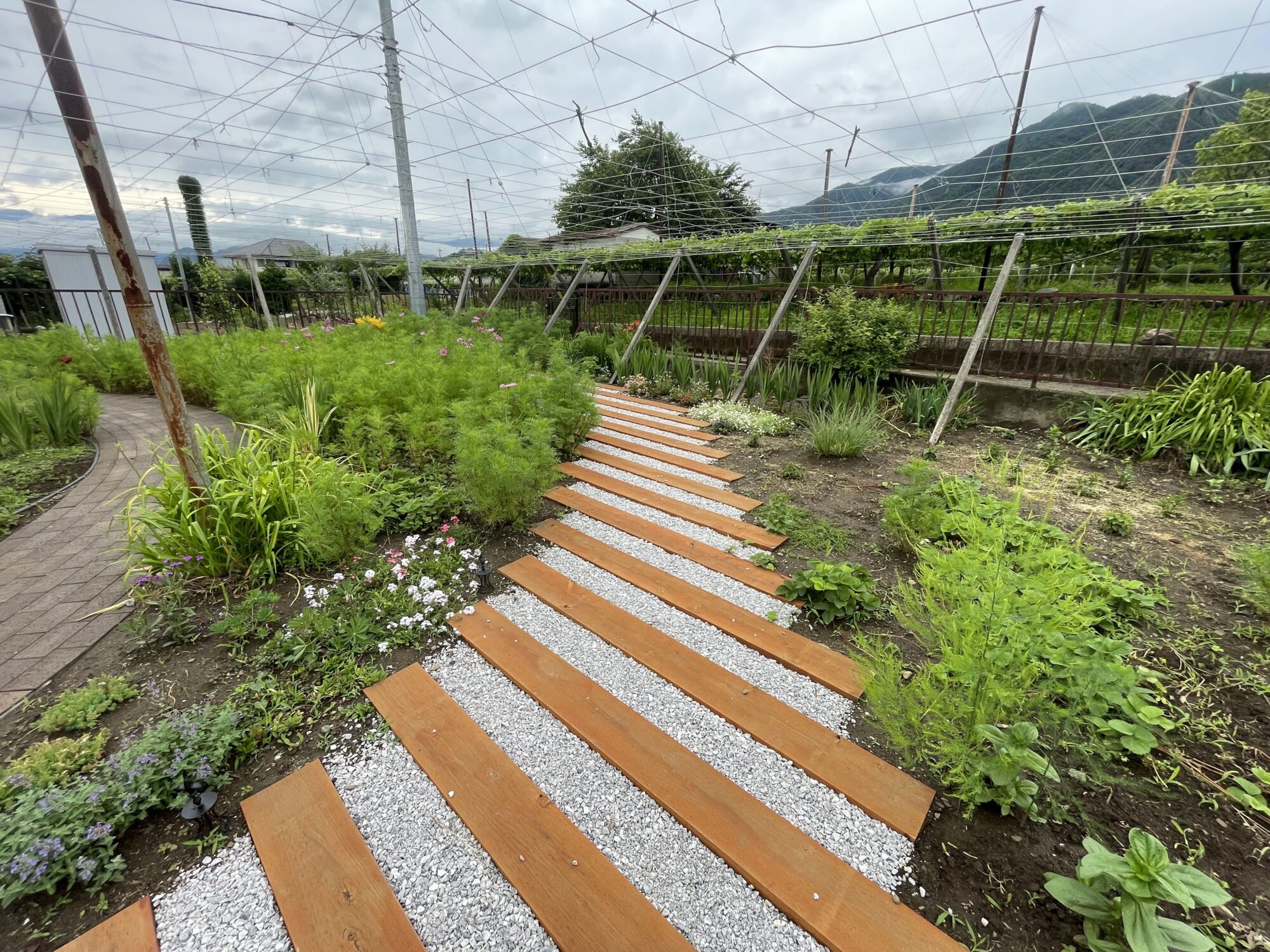 山梨県甲府市T様 お庭のリフォーム事例です。株式会社やましたグリーンの事例を紹介しています。