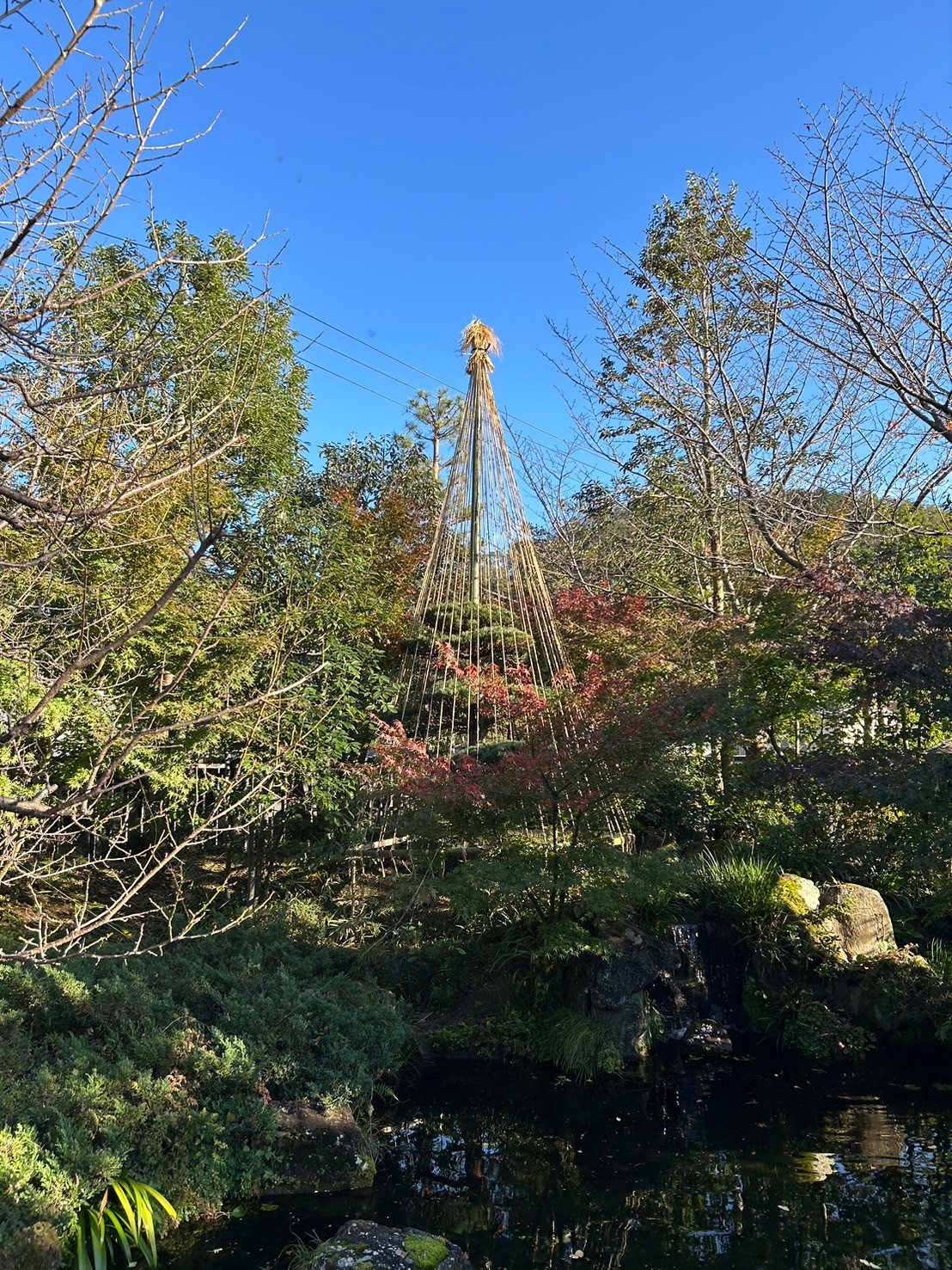 八王子市「高尾駒木野庭園」の植木は多種多様な品種があります。これらの植栽管理を株式会社やましたグリーンが行なっています。