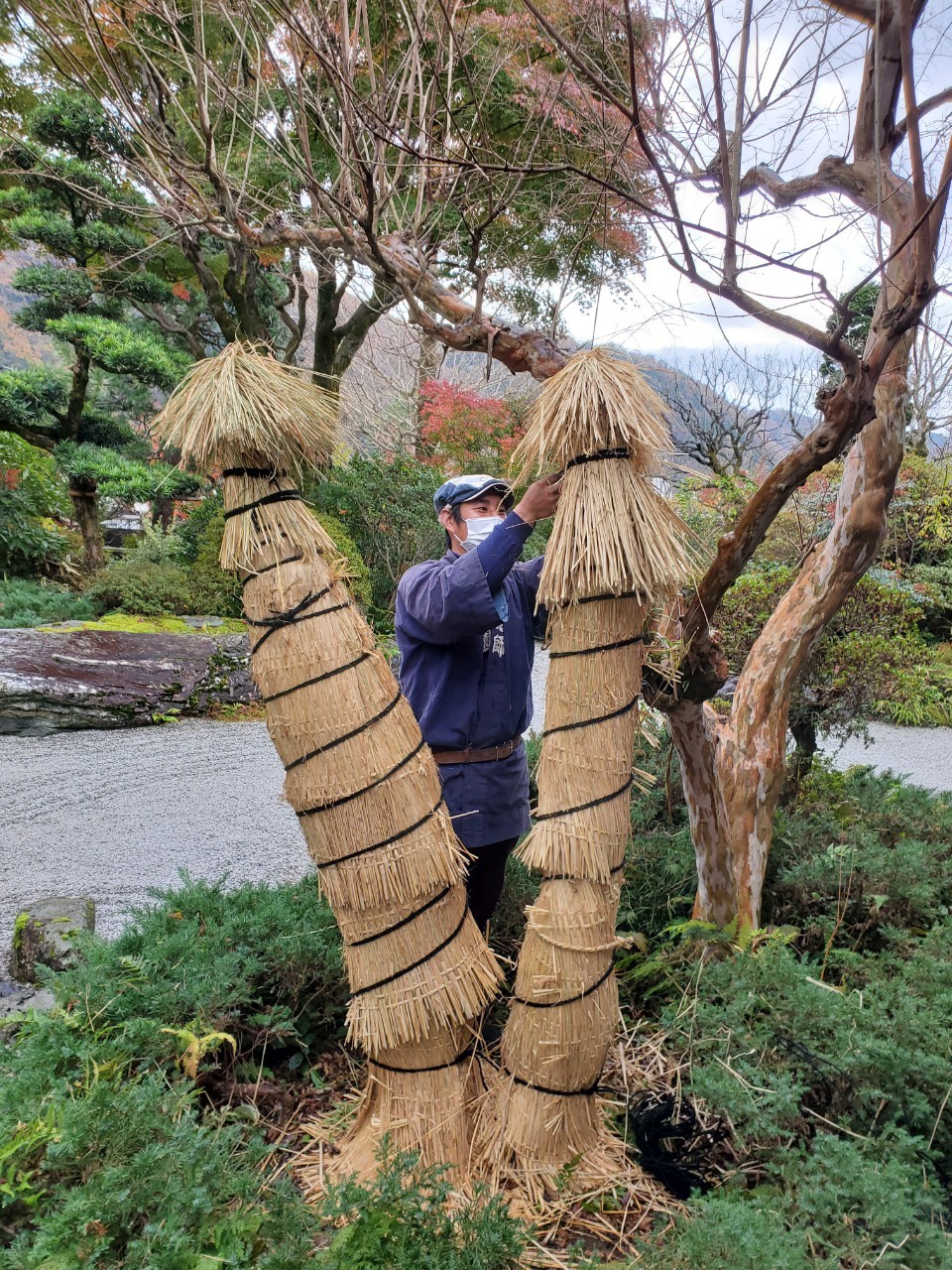 八王子市「高尾駒木野庭園」の庭。庭のお手入れを株式会社やましたグリーンが行なっています。