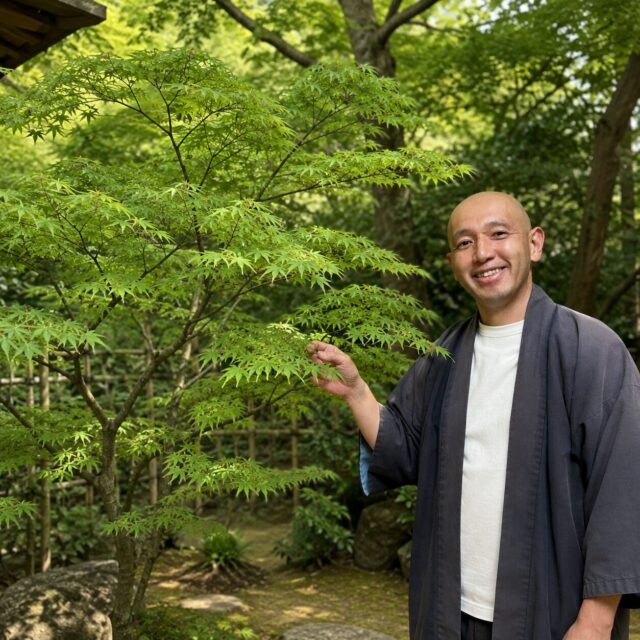 モミジの夏剪定｜東西南北・上下で変わる切り方を動画で解説